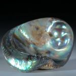Abalone Perlmutter Freiform mit Blisterperle ca.60x48x18mm