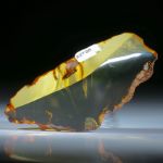 Baltischer Bernstein, Spiegelschliff mit naturbelassener Aussenform