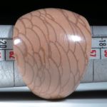 Bruneaujaspis U.S.A. Fingerring konisch im Verlauf
