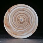 In Spitz geschliffene Conus figulinus, poliert