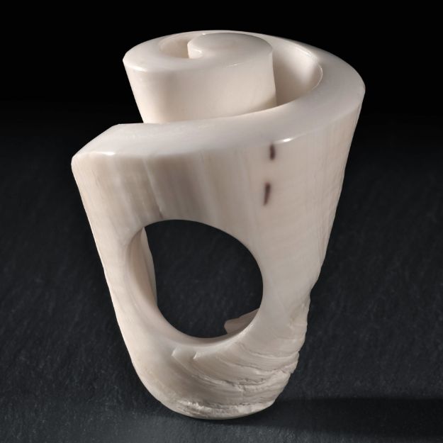 Fingerring Conus Leopardus