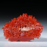 Edelkoralle Blumengravur 29.51ct.