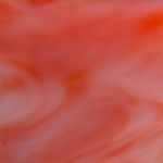 Edelkoralle, freie Form mit konkav geschliffener Oberseite