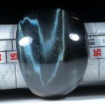 Falkenauge Ring Südafrika