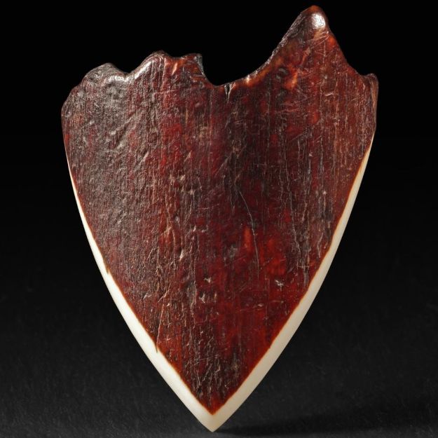 Mammutelfenbein 64x48x5mm (gebogen)