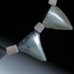 Megalodon Collier (versteinerter Haifischzahn)