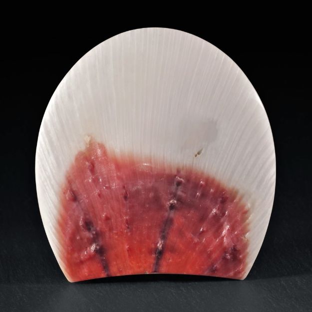 Spondylus-Shell 66x62x8mm, 30.7g.