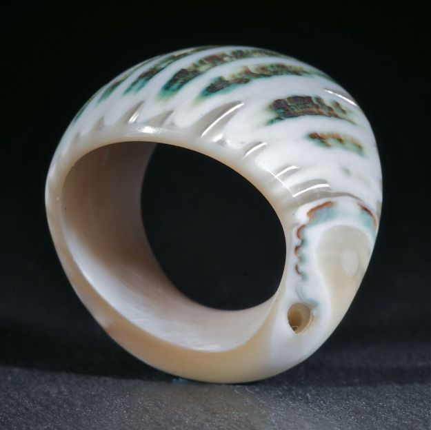 Turbo-Schneckenring, D20mm (ca.), 8.8g.