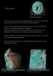 Chrysopras, Chrysoprase, Australian-Jade,