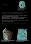 Chrysopras, Chrysoprase, Australian-Jade,
