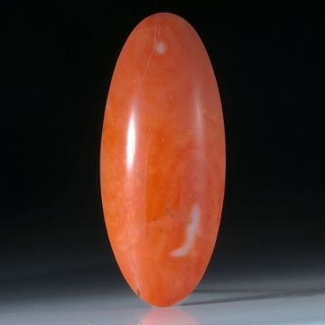 Edelkoralle, ovaler Cabochon ca.60x25.5x10mm