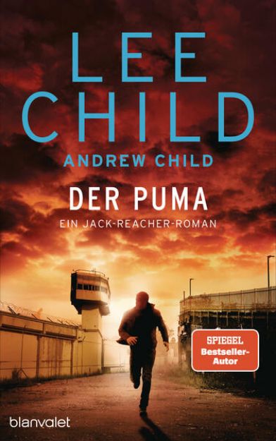 Bild zu Child, Lee: Der Puma