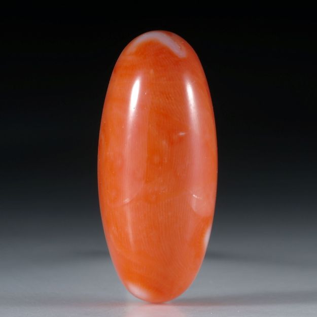 Edelkoralle, ovaler Cabochon ca.31x13.5x8.5mm, 29.33ct.