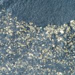 Pyritschiefer Grindelwald, Schweiz, Naturbruch, teilweise poliert ca.44x34x8mm