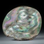 Perlmutter Abalone, freie Form ca.53x49x22mm