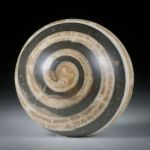 Versteinerte Schnecke, actaeonella, grosser runder Cabochon