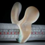 Fingerring aus einer Meeresschnecke (marmoratus)