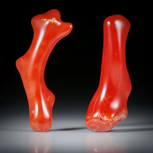 Edelkoralle, corallium rubrum, 42.05ct. Paar polierte Korallenäste 