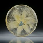 Sternrutil 19.58ct. runder Cabochon, beidseitig bombiert geschliffen und poliert, ca.22x22x5.5mm