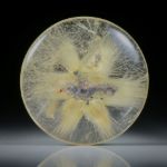 Sternrutil 19.58ct. runder Cabochon, beidseitig bombiert geschliffen und poliert, ca.22x22x5.5mm