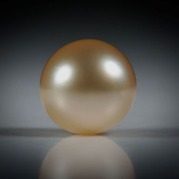 Südseeperle rund AA, ungebohrt, Durchmesser 9.25mm