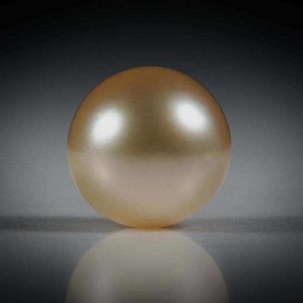 Südseeperle rund AA, ungebohrt, Durchmesser 9.25mm