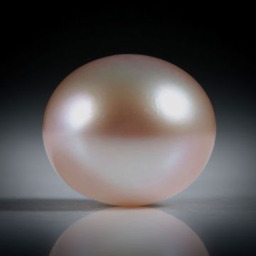 Süsswasserperle Bouton, ungebohrt, Durchmesser 12.5mm