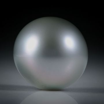 Tahitiperle Bouton AA, ungebohrt, Durchmesser 14.2mm