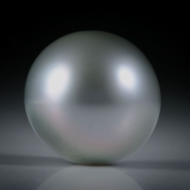 Tahitiperle Bouton AA, ungebohrt, Durchmesser 14.2mm