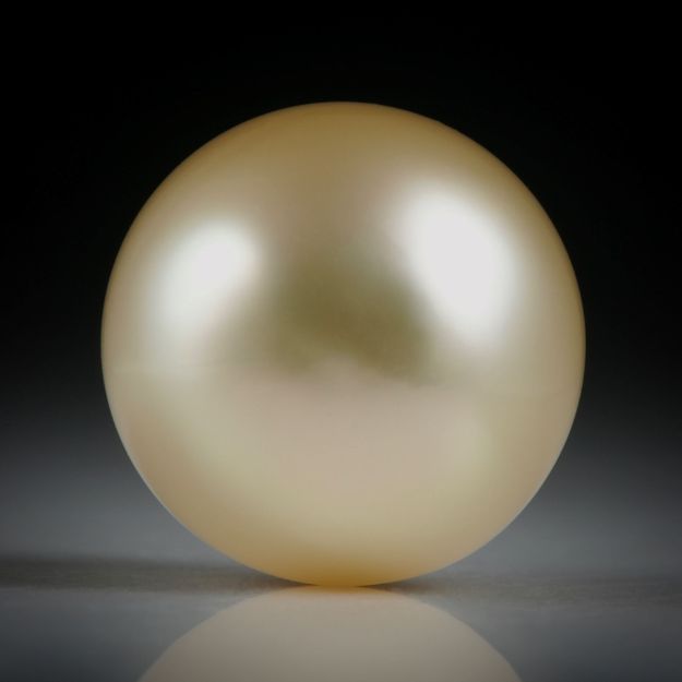 Südseeperle gelb, rund, ungebohrt, Durchmesser 13.3mm