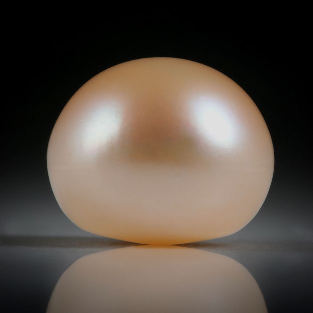 Süsswasserperle Orange, Bouton, ungebohrt, Durchmesser 14mm