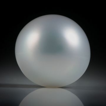 Südseeperle grau, rund, ungebohrt, Durchmesser 13.6mm