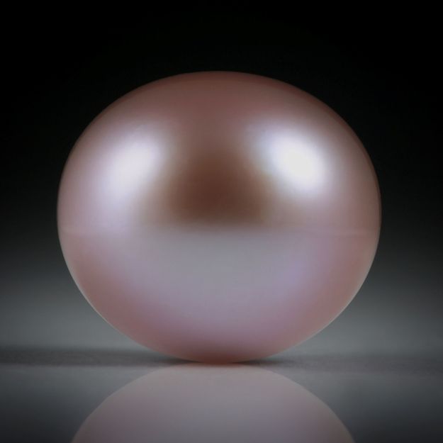 Süsswasserperle violett, Bouton, ungebohrt, Durchmesser 13.1mm