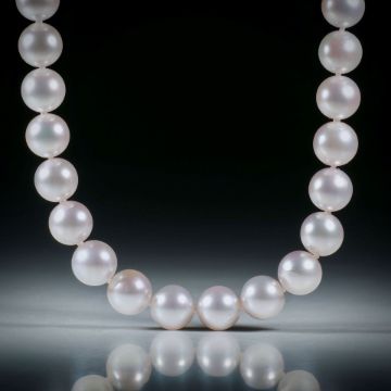 Perlencollier Akoya weiss, Durchmesser 8mm, Gesamtlänge 44.5cm, geknüpft, mit vergoldetem Silberverschluss