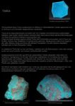 Türkis, Turquoise,