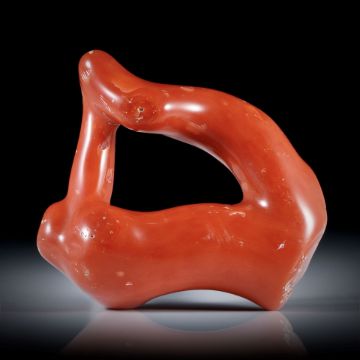 Edelkoralle, corallium rubrum, natürlich verwachsene Korallenäste, die eine geschlossene Form bilden ca.43x35x11mm