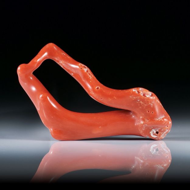 Edelkoralle, corallium rubrum, natürlich verwachsene Korallenäste, die eine geschlossene Form bilden ca.55x25x11mm