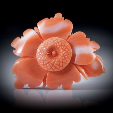 Edelkoralle Blumengravur 30.31ct.  31x25x7mm
