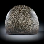 Fingerring aus versteinertem Saurierknochen, halbrunder Tafelring poliert, Innendurchmesser 18mm