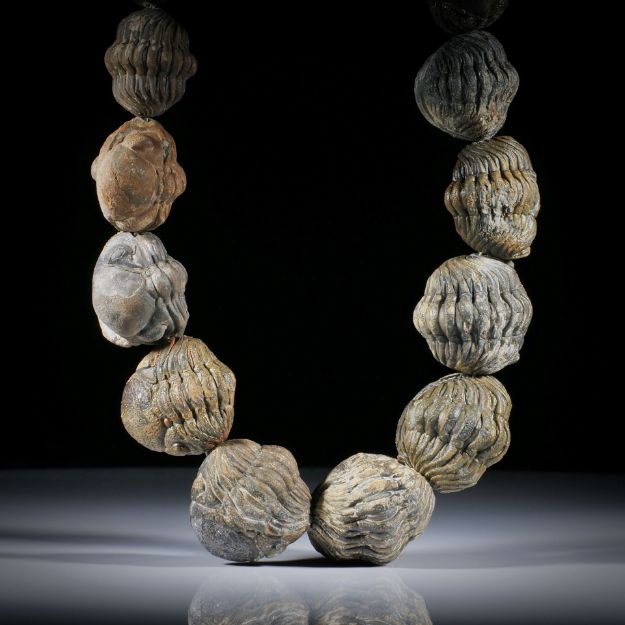 Collier aus versteinerten Trilobiten (Roller), im Verlauf. Durchmesser von ca.7mm bis 30mm, Länge 51cm