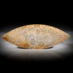 Koralle fossil, Navette poliert, Oberseite leicht bombiert, Rückseite plangeschliffen, ca.92x33x7mm