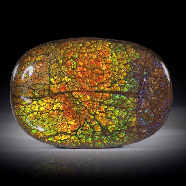 Ammolith 99.98ct. Asymmetrisches Oval, Oberfläche stabilisiert ca.48x33x6mm
