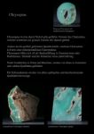 Chrysopras, Chrysoprase, Australian-Jade,